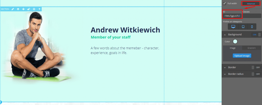 Redirection to URL section address Redirection to URL section address