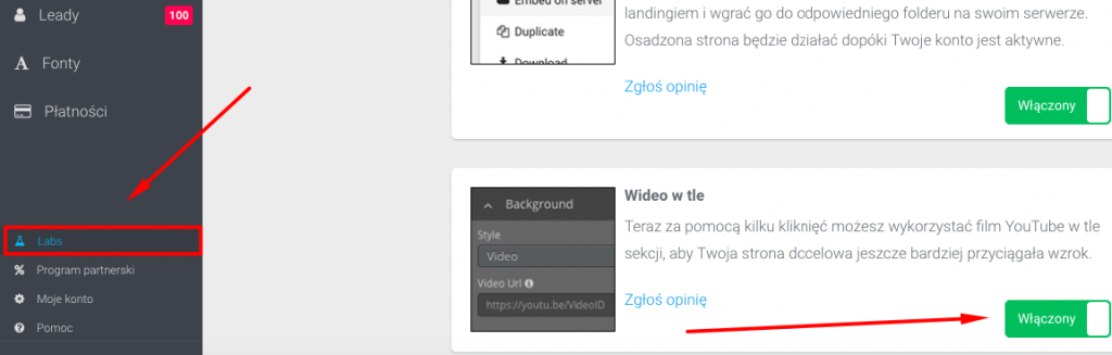 Tło sekcji Tło sekcji