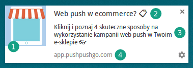 4-elementy-web-push